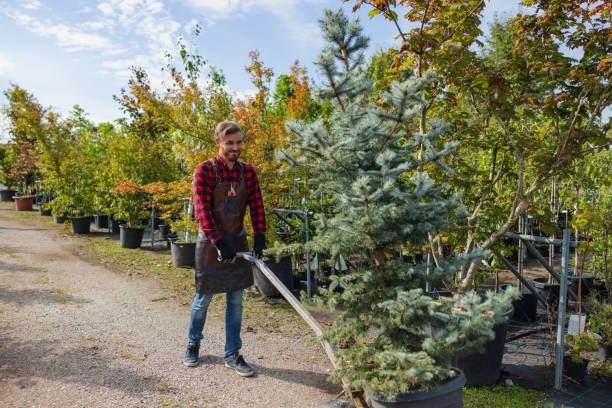 Best Commercial Tree Services  in Mill Neck, NY